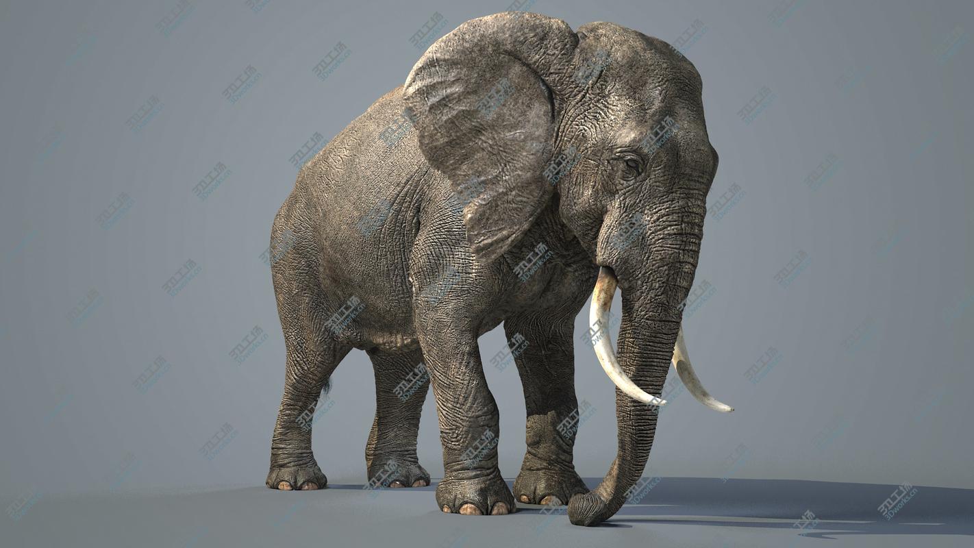 images/goods_img/202105072/3D model Elephant-Maya-Animated/3.jpg